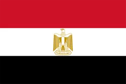 埃及 战队徽标