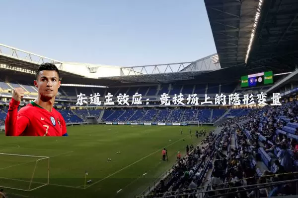 东道主效应:竞技场上的隐形变量